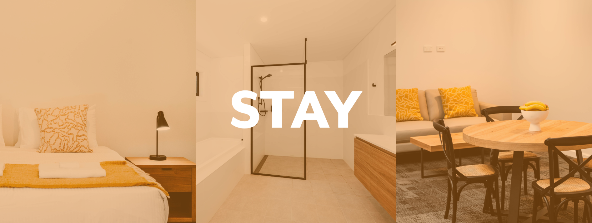 Stay.png
